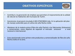 OBJETIVOS ESPECÍFICOS

•   Contribuir a la generación de empleos que permitan el mejoramiento de la calidad
    de vida de los habitantes del municipio de Tuchín.

•   Concienciar al personal vinculado A BIO-ETNIFIBRAS Ltda. En la aplicación del plan
    de manejo sostenible para el cultivo de caña flecha criolla.

•   Abastecer de la materia prima (Fibra de caña Flecha) a los fabricantes (Artesanos)
    y comerciantes, como objetivo de expandir el mercado artesanal              a nivel
    nacional e internacional.


•   Estar posicionado como primer ente productivo y comercializador de fibra de caña
    flecha criolla en la zona.
 