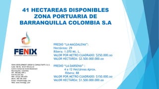 FENIX DEVELOPMENT GROUP & CONSULTANTS S.A.S.
Calle 106 No. 50-67 Oficina 2A
Centro Comercial Grand Boulevard
Barranquilla- Colombia
NIT. 900.862.599-2
M.M No.624.262
PBX: (57)(5) 385-4701
Móvil: 300-346-3420
Email: info@fenixdgc.com
Web: www.fenixdgc.com
41 HECTAREAS DISPONIBLES
ZONA PORTUARIA DE
BARRANQUILLA COLOMBIA S.A
PREDIO “LA MAGDALENA”:
Hectáreas: 29
Ribera: 1.070 Mt. L.
VALOR POR METRO CUADRADO: $250.000.oo
VALOR HECTÁREA: $2.500.000.000.oo
PREDIO “LA DARSENA” :
4 a 12 Hectáreas Aprox.
Ribera: 88
VALOR POR METRO CUADRADO: $150.000.oo
VALOR HECTÁREA: $1.500.000.000.oo
 
