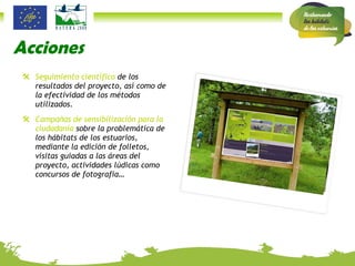 Acciones Seguimiento científico  de los resultados del proyecto, así como de la efectividad de los métodos utilizados. Campañas de sensibilización para la ciudadanía  sobre la problemática de los hábitats de los estuarios, mediante la edición de folletos, visitas guiadas a las áreas del proyecto, actividades lúdicas como concursos de fotografía… 