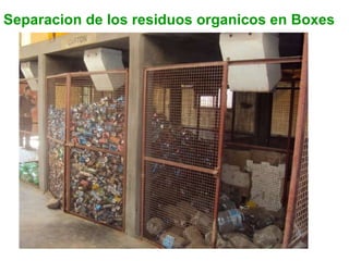 Separacion de los residuos organicos en Boxes 