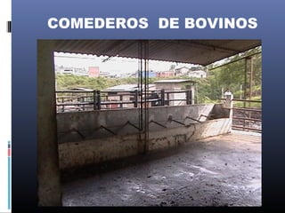 COMEDEROS DE BOVINOS
 