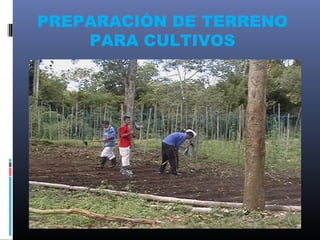 PREPARACIÓN DE TERRENO
    PARA CULTIVOS
 