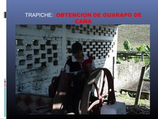 TRAPICHE: OBTENCION DE GUARAPO DE
               CAÑA
 