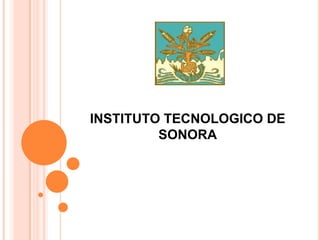 INSTITUTO TECNOLOGICO DE SONORA 