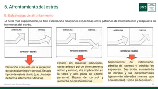5. Afrontamiento del estrés
28
Antonio José Perrote Domingo
B. Estrategias de afrontamiento
-A nivel más experimental, se han establecido relaciones específicas entre patrones de afrontamiento y respuesta de
hormonas del estrés.
Elevación conjunta en la secreción
de catecolaminas y cortisol. Estado
típico de estrés diario (p.ej., trabajar
de forma altamente rutinaria).
Estado sin malestar emocional,
caracterizado por un afrontamiento
activo y exitoso, alta implicación en
la tarea y alto grado de control
personal. Bajada de cortisol y
aumento de catecolaminas
Sentimientos de indefensión,
pérdida de control y pérdida de
esperanza. Secreción aumentada
de cortisol y las catecolaminas
ligeramente elevadas (menos que
con esfuerzo). Típico en depresión.
 