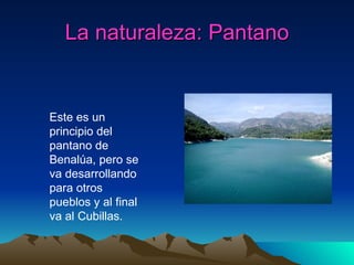 La naturaleza: Pantano Este es un principio del pantano de Benalúa, pero se va desarrollando para otros pueblos y al final va al Cubillas. 