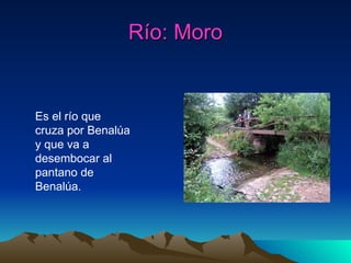 Río: Moro Es el río que cruza por Benalúa y que va a desembocar al pantano de Benalúa. 