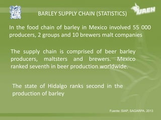 BARLEY SUPPLY CHAIN (STATISTICS) 
In the food chain of barley in Mexico involved 55 000 
producers, 2 groups and 10 brewers malt companies 
The supply chain is comprised of beer barley 
producers, maltsters and brewers. Mexico 
ranked seventh in beer production worldwide. 
The state of Hidalgo ranks second in the 
production of barley 
Fuente: SIAP, SAGARPA, 2013 
 