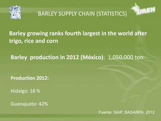 BARLEY SUPPLY CHAIN (STATISTICS) 
Barley growing ranks fourth largest in the world after 
trigo, rice and corn 
Barley production in 2012 (México): 1,050,000 ton 
Fuente: SIAP, SAGARPA, 2012 
Production 2012: 
Hidalgo: 18 % 
Guanajuato: 42% 
 