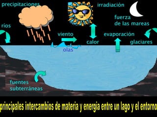 principales intercambios de materia y energia entre un lago y el entorno precipitaciones viento ríos fuerza de las mareas calor irradiación glaciares fuentes subterráneas olas evaporación 