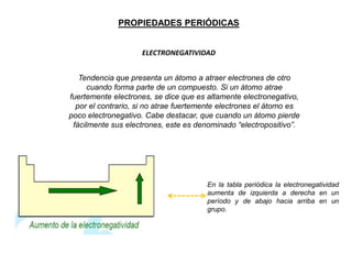 PROPIEDADES PERIÓDICAS
ELECTRONEGATIVIDAD
Tendencia que presenta un átomo a atraer electrones de otro
cuando forma parte de un compuesto. Si un átomo atrae
fuertemente electrones, se dice que es altamente electronegativo,
por el contrario, si no atrae fuertemente electrones el átomo es
poco electronegativo. Cabe destacar, que cuando un átomo pierde
fácilmente sus electrones, este es denominado “electropositivo”.

En la tabla periódica la electronegatividad
aumenta de izquierda a derecha en un
período y de abajo hacia arriba en un
grupo.

 
