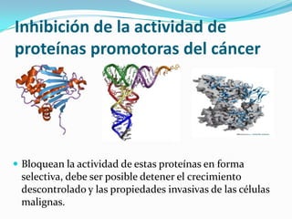 Inhibición de la actividad de
proteínas promotoras del cáncer
 Bloquean la actividad de estas proteínas en forma
selectiva, debe ser posible detener el crecimiento
descontrolado y las propiedades invasivas de las células
malignas.
 