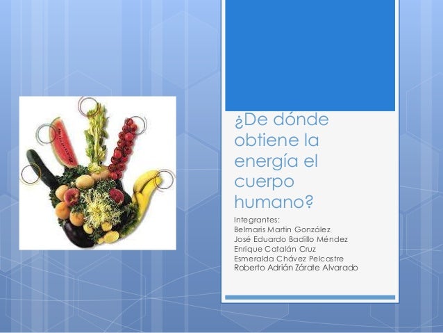 ¿De donde obtiene la energia el cuerpo humano?