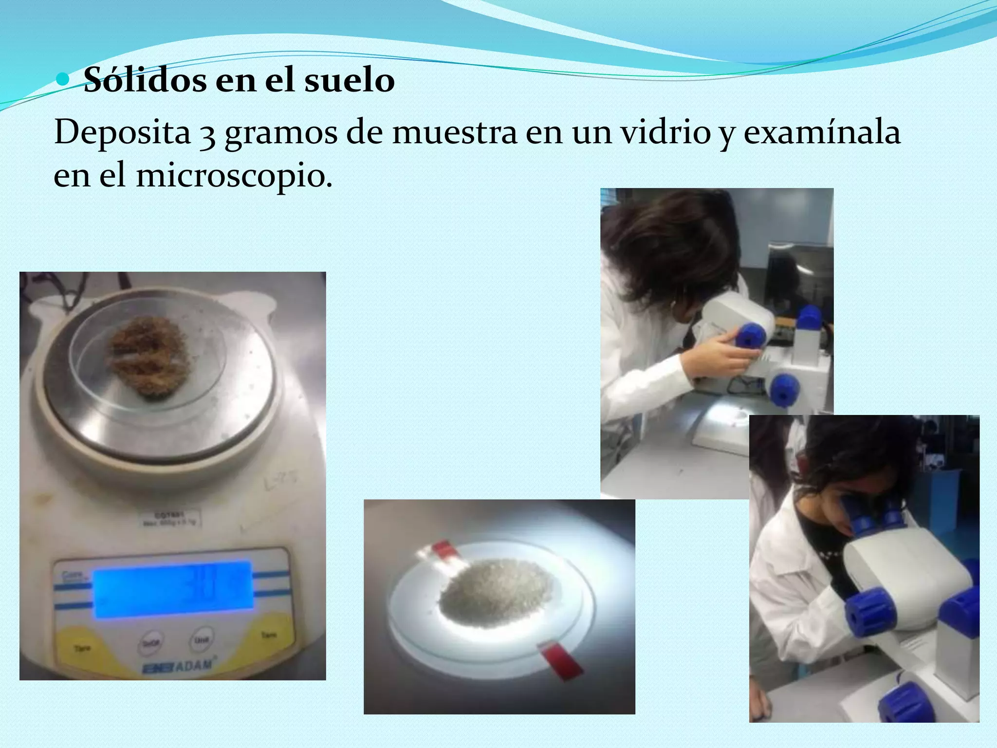  Sólidos en el suelo
Deposita 3 gramos de muestra en un vidrio y examínala
en el microscopio.
 
