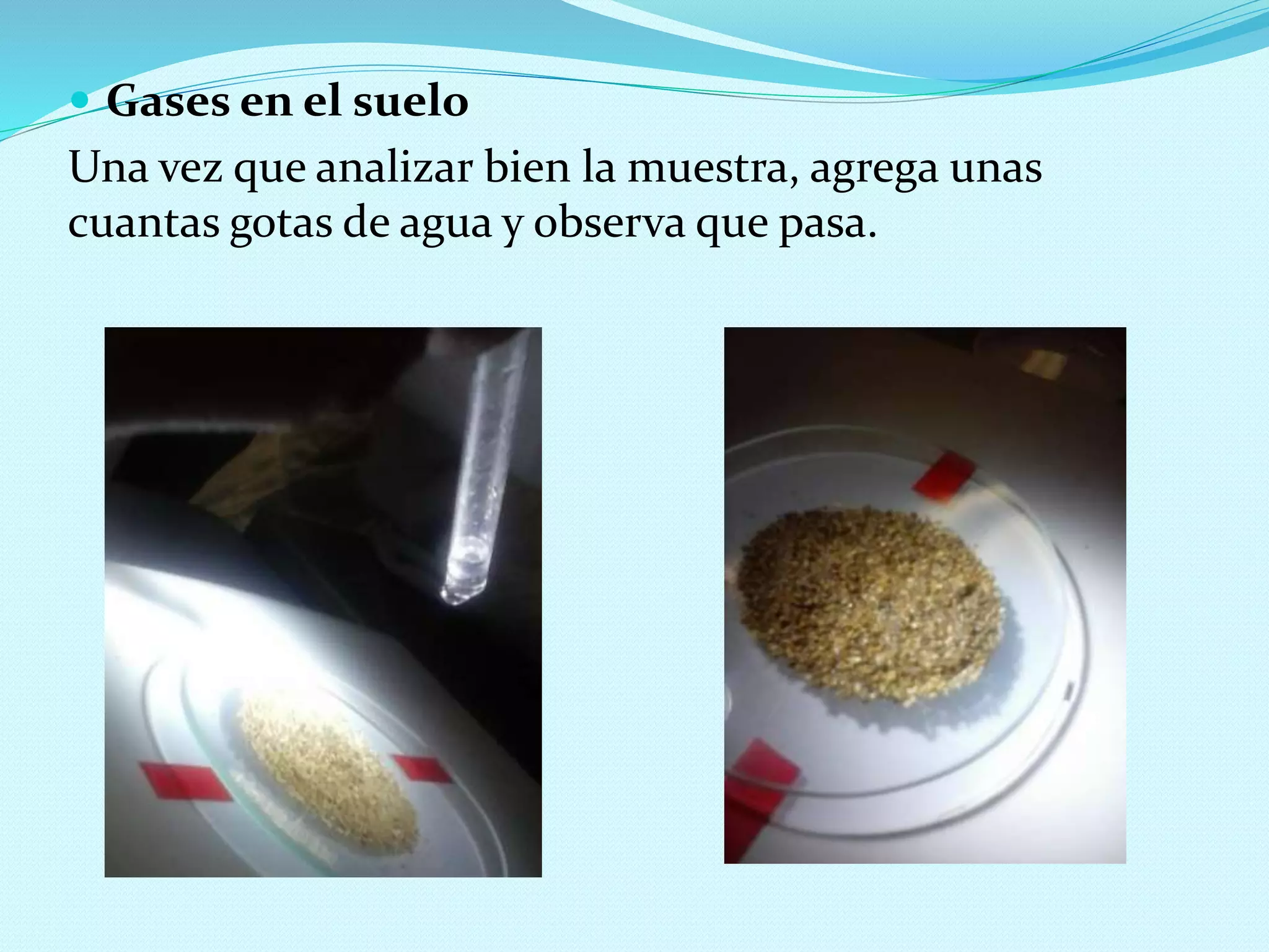  Gases en el suelo
Una vez que analizar bien la muestra, agrega unas
cuantas gotas de agua y observa que pasa.
 
