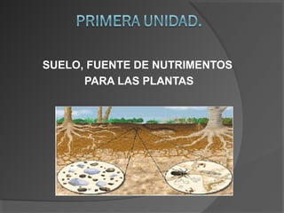 SUELO, FUENTE DE NUTRIMENTOS
PARA LAS PLANTAS

 