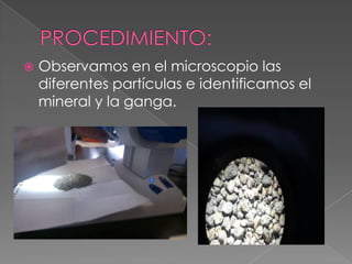    Observamos en el microscopio las
    diferentes partículas e identificamos el
    mineral y la ganga.
 