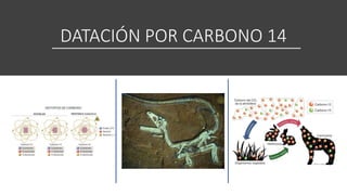 Datacion PRESENTACION RADIACTIVIDAD.pptx