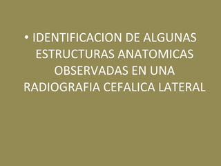 • IDENTIFICACION DE ALGUNAS
ESTRUCTURAS ANATOMICAS
OBSERVADAS EN UNA
RADIOGRAFIA CEFALICA LATERAL
 
