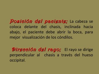 Posición del paciente;Posición del paciente; La cabeza se
coloca delante del chasis, inclinada hacia
abajo, el paciente debe abrir la boca, para
mejor visualización de los cóndilos.
Dirección del rayo;Dirección del rayo; El rayo se dirige
perpendicular al chasis a través del hueso
occipital.
 