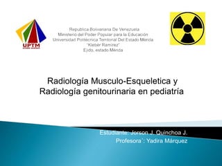 Radiología Musculo-Esqueletica y
Radiología genitourinaria en pediatría
Estudiante: Jorson J. Quinchoa J.
Profesora´: Yadira Márquez
 