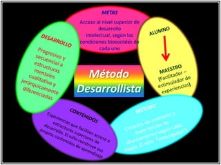 Método
Desarrollista
METAS
Acceso al nivel superior de
desarrollo
intelectual, según las
condiciones biosociales de
cada uno
 