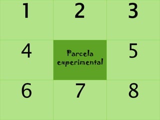 1       2          3

4     Parcela
    experimental
                   5

6       7          8
 