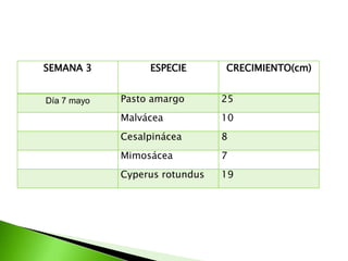 SEMANA 3          ESPECIE       CRECIMIENTO(cm)


Día 7 mayo   Pasto amargo       25
             Malvácea           10
             Cesalpinácea       8
             Mimosácea          7
             Cyperus rotundus   19
 