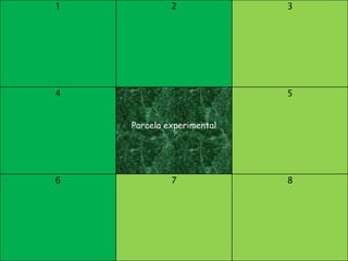 1            2             3




4                          5


    Parcela experimental




6            7             8
 