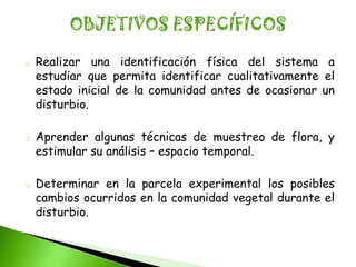 OBJETIVOS ESPECÍFICOS

o   Realizar una identificación física del sistema a
    estudiar que permita identificar cualitativamente el
    estado inicial de la comunidad antes de ocasionar un
    disturbio.

o   Aprender algunas técnicas de muestreo de flora, y
    estimular su análisis – espacio temporal.

o   Determinar en la parcela experimental los posibles
    cambios ocurridos en la comunidad vegetal durante el
    disturbio.
 