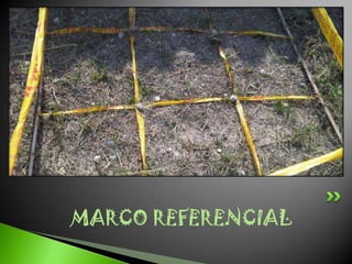 MARCO REFERENCIAL
 