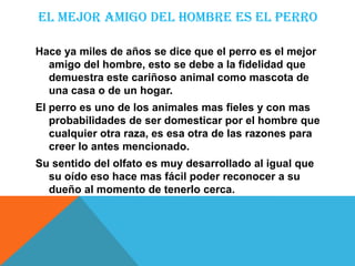 EL MEJOR AMIGO DEL HOMBRE ES EL PERRO

Hace ya miles de años se dice que el perro es el mejor
  amigo del hombre, esto se debe a la fidelidad que
  demuestra este cariñoso animal como mascota de
  una casa o de un hogar.
El perro es uno de los animales mas fieles y con mas
   probabilidades de ser domesticar por el hombre que
   cualquier otra raza, es esa otra de las razones para
   creer lo antes mencionado.
Su sentido del olfato es muy desarrollado al igual que
  su oído eso hace mas fácil poder reconocer a su
  dueño al momento de tenerlo cerca.
 