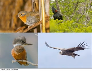 jueves, 24 de julio de 14
 