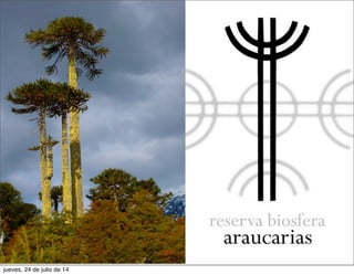 jueves, 24 de julio de 14
 