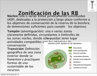 Zoniﬁcación de las RBNúcleo: una o varias zonas jurídicamente constituidas
(ASP), dedicadas a la protección a largo plazo conforme a
los objetivos de conservación de la reserva de la biosfera,
de dimensiones suﬁcientes para cumplir los objetivos
Tampón (amortiguación): una o varias zonas
claramente deﬁnidas, circundantes o limítrofes de
las zonas núcleo, donde sólo puedan tener lugar
actividades compatibles con los objetivos de
conservación
Transición: Deﬁnición
geográﬁca de una zona
exterior donde se
fomenten y practiquen
formas de uso
sustentable de los
recursos
jueves, 24 de julio de 14
 