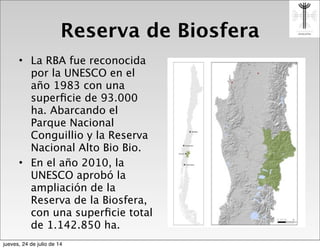 Reserva de Biosfera
• La RBA fue reconocida
por la UNESCO en el
año 1983 con una
superﬁcie de 93.000
ha. Abarcando el
Parque Nacional
Conguillio y la Reserva
Nacional Alto Bio Bio.
• En el año 2010, la
UNESCO aprobó la
ampliación de la
Reserva de la Biosfera,
con una superﬁcie total
de 1.142.850 ha.
jueves, 24 de julio de 14
 