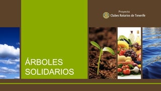 ÁRBOLES
SOLIDARIOS
Proyecto
 