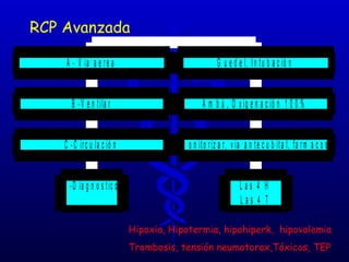 RCP Avanzada Hipoxia, Hipotermia, hipohiperk,  hipovolemia Trombosis, tensión neumotorax,Tóxicos, TEP 