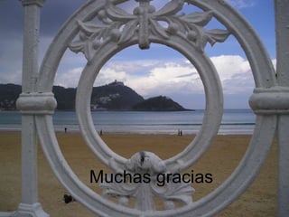 Muchas gracias 