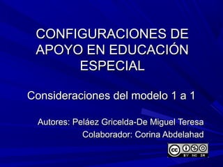 CONFIGURACIONES DE
APOYO EN EDUCACIÓN
ESPECIAL
Consideraciones del modelo 1 a 1
Autores: Peláez Gricelda-De Miguel Teresa
Colaborador: Corina Abdelahad

 