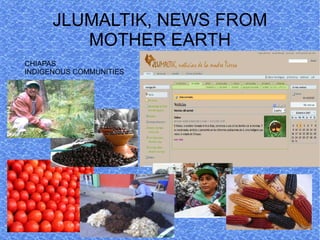 JLUMALTIK, NEWS FROM
         MOTHER EARTH
CHIAPAS
INDIGENOUS COMMUNITIES
 