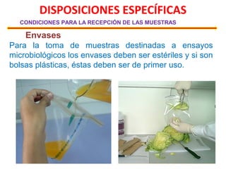 DISPOSICIONES ESPECÍFICAS
CONDICIONES PARA LA RECEPCIÓN DE LAS MUESTRAS
Envases
Para la toma de muestras destinadas a ensayos
microbiológicos los envases deben ser estériles y si son
bolsas plásticas, éstas deben ser de primer uso.
 