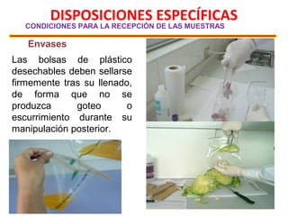 DISPOSICIONES ESPECÍFICAS
CONDICIONES PARA LA RECEPCIÓN DE LAS MUESTRAS
Envases
Las bolsas de plástico
desechables deben sellarse
firmemente tras su llenado,
de forma que no se
produzca goteo o
escurrimiento durante su
manipulación posterior.
 