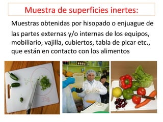 Muestra de superficies inertes:
Muestras obtenidas por hisopado o enjuague de
las partes externas y/o internas de los equipos,
mobiliario, vajilla, cubiertos, tabla de picar etc.,
que están en contacto con los alimentos
 
