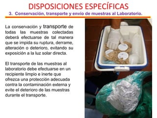 DISPOSICIONES ESPECÍFICAS
3. Conservación, transporte y envío de muestras al Laboratorio.
La conservación y transporte de
todas las muestras colectadas
deberá efectuarse de tal manera
que se impida su ruptura, derrame,
alteración o deterioro, evitando su
exposición a la luz solar directa.
El transporte de las muestras al
laboratorio debe efectuarse en un
recipiente limpio e inerte que
ofrezca una protección adecuada
contra la contaminación externa y
evite el deterioro de las muestras
durante el transporte.
 