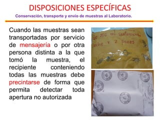 DISPOSICIONES ESPECÍFICAS
Conservación, transporte y envío de muestras al Laboratorio.
Cuando las muestras sean
transportadas por servicio
de mensajería o por otra
persona distinta a la que
tomó la muestra, el
recipiente conteniendo
todas las muestras debe
precintarse de forma que
permita detectar toda
apertura no autorizada
 