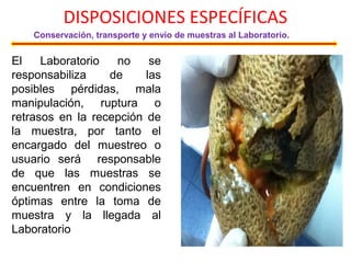 El Laboratorio no se
responsabiliza de las
posibles pérdidas, mala
manipulación, ruptura o
retrasos en la recepción de
la muestra, por tanto el
encargado del muestreo o
usuario será responsable
de que las muestras se
encuentren en condiciones
óptimas entre la toma de
muestra y la llegada al
Laboratorio
DISPOSICIONES ESPECÍFICAS
Conservación, transporte y envío de muestras al Laboratorio.
 