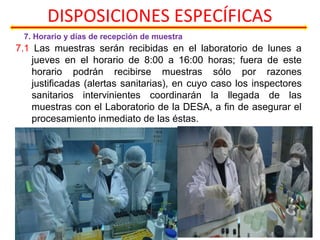 DISPOSICIONES ESPECÍFICAS
7. Horario y días de recepción de muestra
7.1 Las muestras serán recibidas en el laboratorio de lunes a
jueves en el horario de 8:00 a 16:00 horas; fuera de este
horario podrán recibirse muestras sólo por razones
justificadas (alertas sanitarias), en cuyo caso los inspectores
sanitarios intervinientes coordinarán la llegada de las
muestras con el Laboratorio de la DESA, a fin de asegurar el
procesamiento inmediato de las éstas.
 
