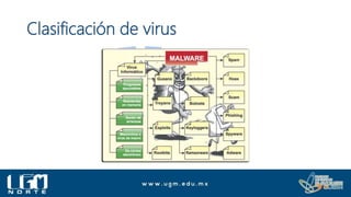 Clasificación de virus
 