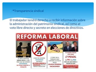  *Transparencia sindical
El trabajador tendrá derecho a recibir información sobre
la administración del patrimonio sindical, así como el
voto libre directo y secreto en elecciones de directivos.
 
